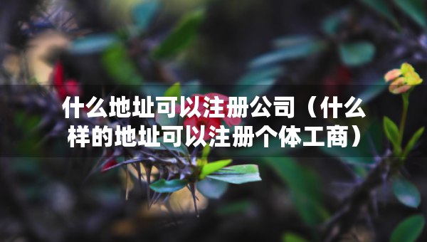 什么地址可以注册公司（什么样的地址可以注册个体工商）
