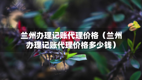 兰州办理记账代理价格（兰州办理记账代理价格多少钱）