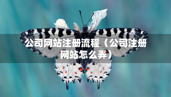 公司网站注册流程（公司注册网站怎么弄）