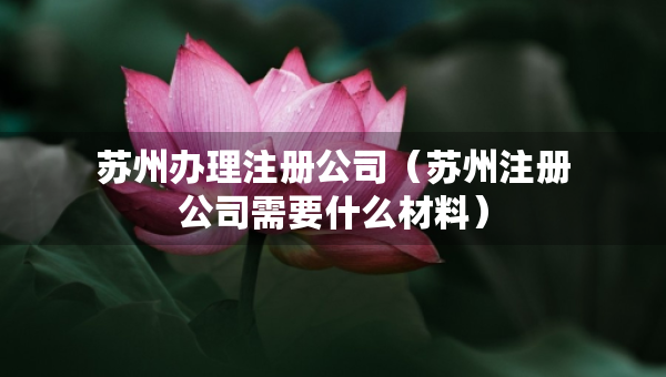 苏州办理注册公司（苏州注册公司需要什么材料）