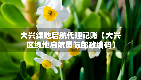 大兴绿地启航代理记账（大兴区绿地启航国际邮政编码）