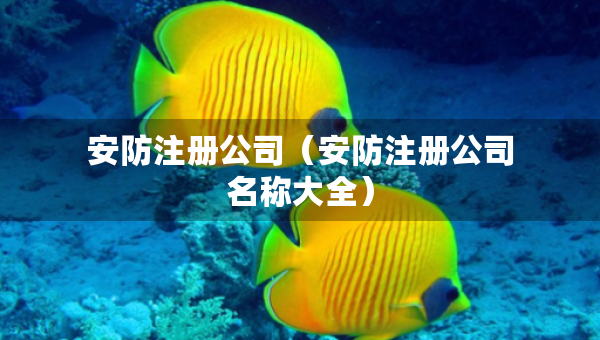 安防注册公司（安防注册公司名称大全）