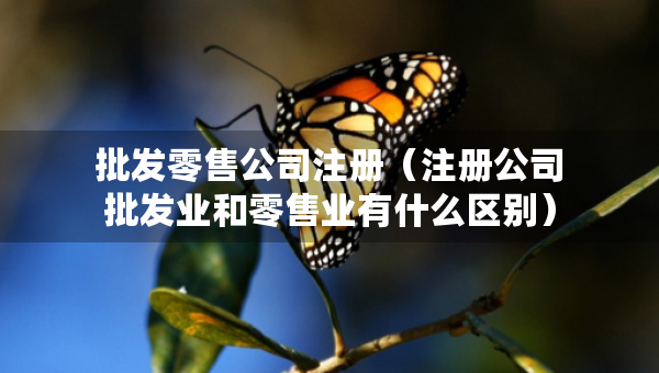 批发零售公司注册（注册公司批发业和零售业有什么区别）