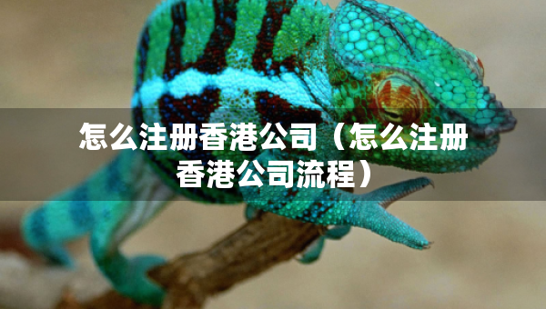 怎么注册香港公司（怎么注册香港公司流程）