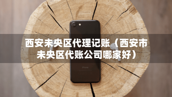西安未央区代理记账（西安市未央区代账公司哪家好）