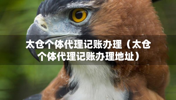 太仓个体代理记账办理（太仓个体代理记账办理地址）