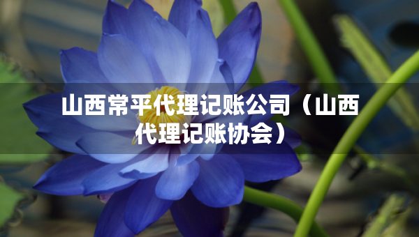 山西常平代理记账公司（山西代理记账协会）