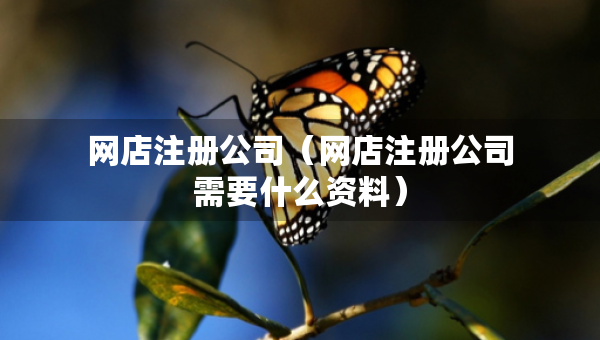网店注册公司（网店注册公司需要什么资料）