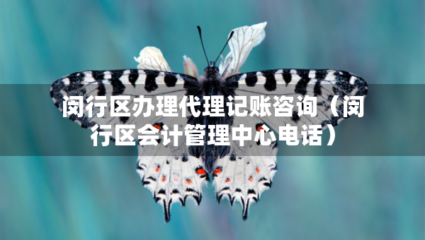 闵行区办理代理记账咨询（闵行区会计管理中心电话）