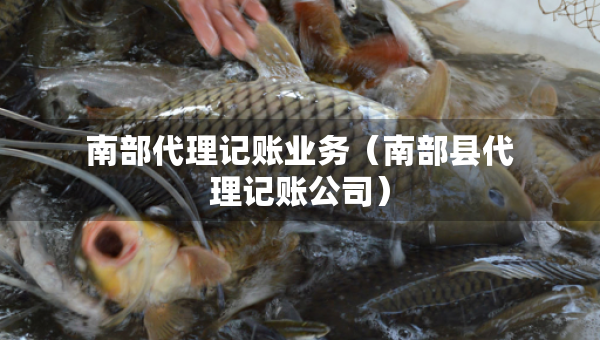 南部代理记账业务（南部县代理记账公司）