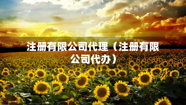 注册有限公司代理（注册有限公司代办）