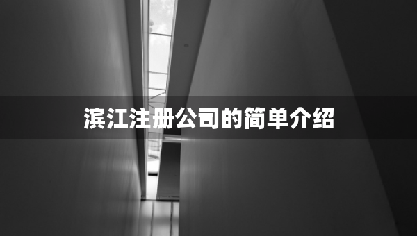 滨江注册公司的简单介绍