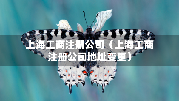 上海工商注册公司（上海工商注册公司地址变更）