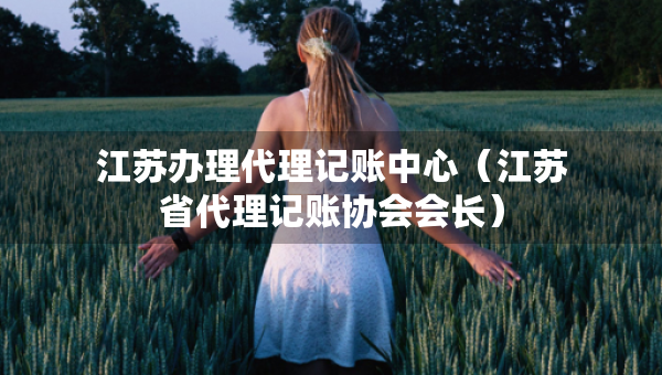 江苏办理代理记账中心（江苏省代理记账协会会长）