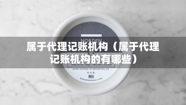 属于代理记账机构（属于代理记账机构的有哪些）