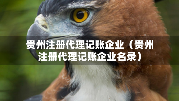 贵州注册代理记账企业（贵州注册代理记账企业名录）