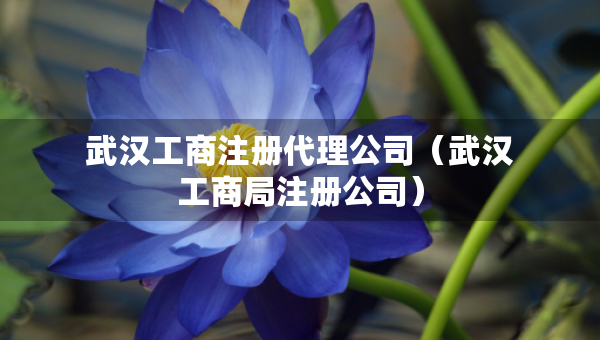武汉工商注册代理公司（武汉工商局注册公司）