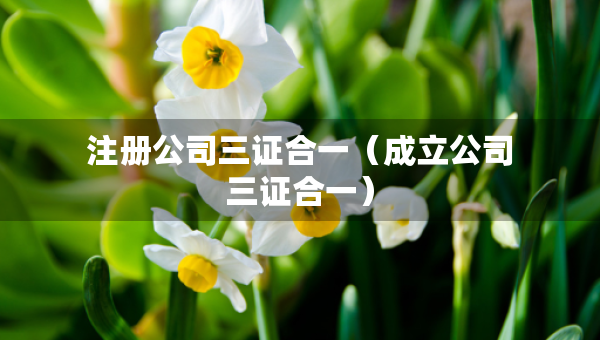注册公司三证合一（成立公司三证合一）