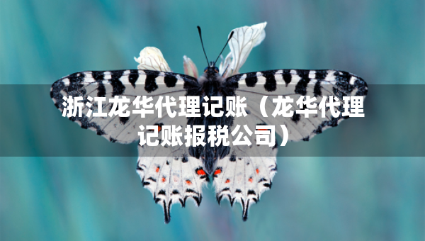 浙江龙华代理记账（龙华代理记账报税公司）