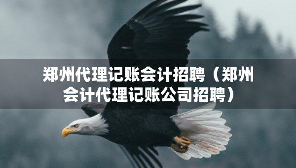 郑州代理记账会计招聘（郑州会计代理记账公司招聘）