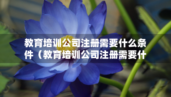 教育培训公司注册需要什么条件（教育培训公司注册需要什么条件呢）