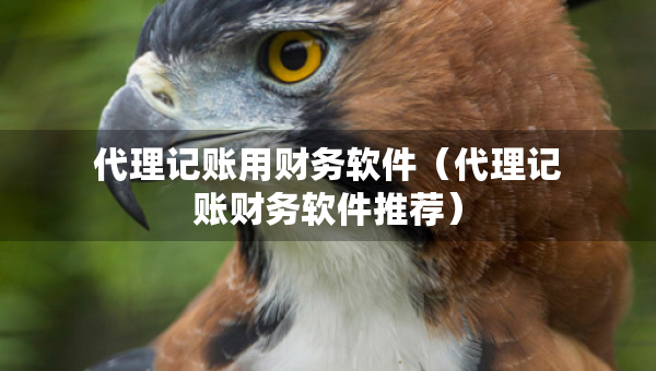 代理记账用财务软件（代理记账财务软件推荐）