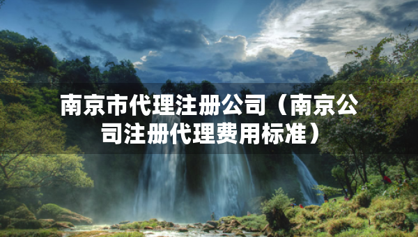 南京市代理注册公司（南京公司注册代理费用标准）
