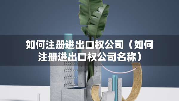 如何注册进出口权公司（如何注册进出口权公司名称）