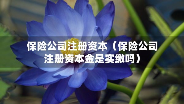 保险公司注册资本（保险公司注册资本金是实缴吗）