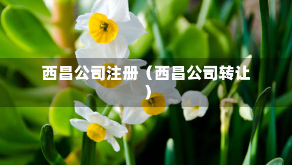 西昌公司注册（西昌公司转让）