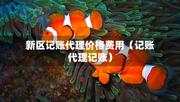 新区记账代理价格费用（记账代理记账）