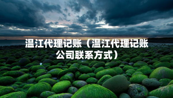 温江代理记账（温江代理记账公司联系方式）