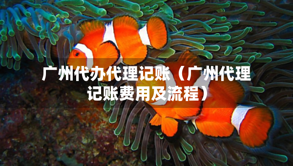 广州代办代理记账（广州代理记账费用及流程）