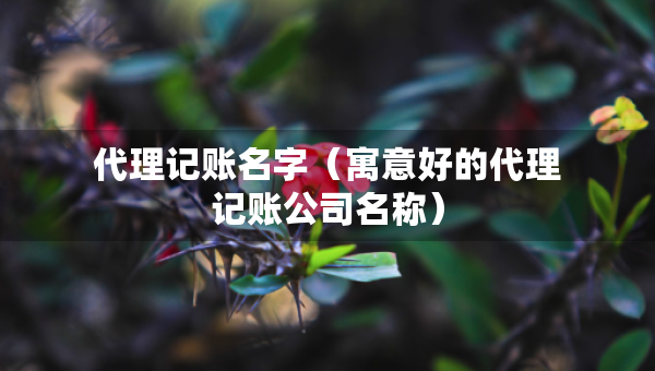 代理记账名字（寓意好的代理记账公司名称）