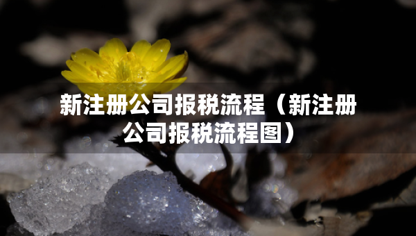 新注册公司报税流程（新注册公司报税流程图）
