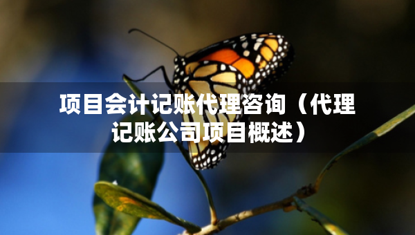 项目会计记账代理咨询（代理记账公司项目概述）