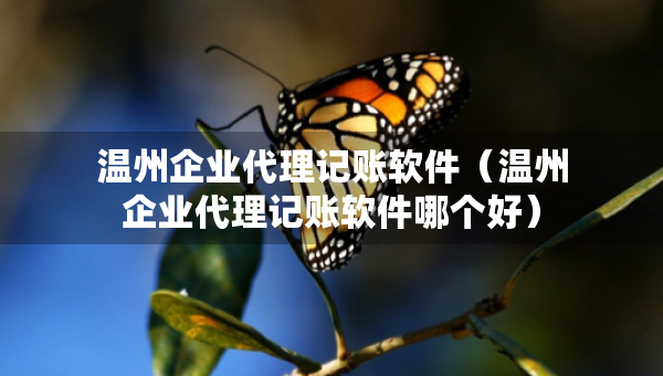 温州企业代理记账软件（温州企业代理记账软件哪个好）