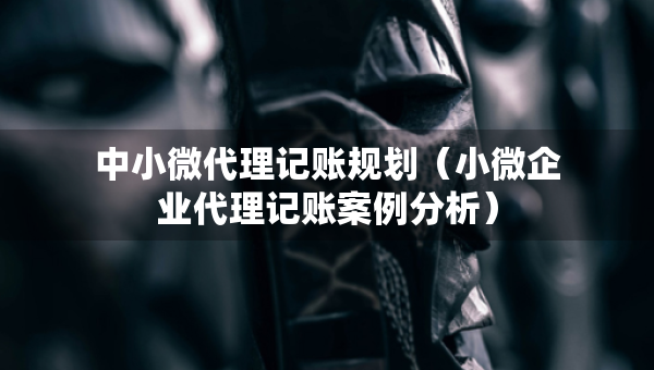 中小微代理记账规划（小微企业代理记账案例分析）