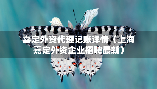 嘉定外资代理记账详情（上海嘉定外资企业招聘最新）