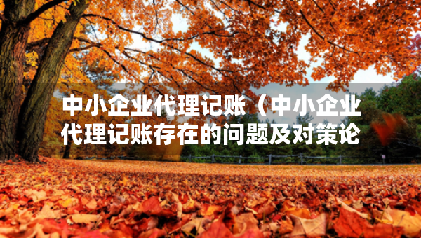 中小企业代理记账（中小企业代理记账存在的问题及对策论文）
