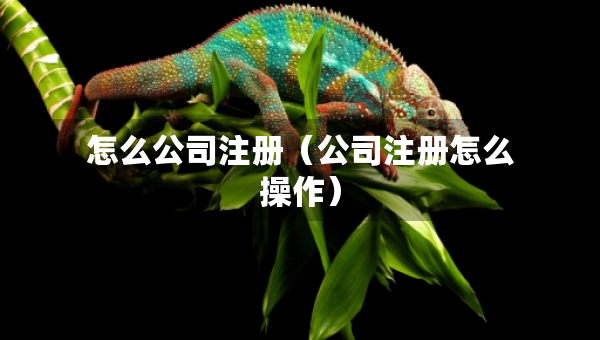怎么公司注册（公司注册怎么操作）