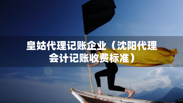 皇姑代理记账企业（沈阳代理会计记账收费标准）