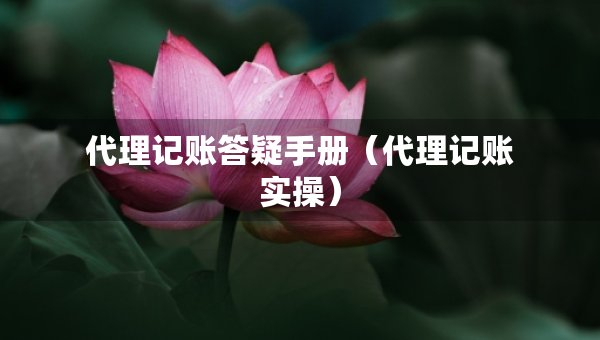 代理记账答疑手册（代理记账实操）