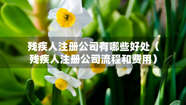 残疾人注册公司有哪些好处（残疾人注册公司流程和费用）