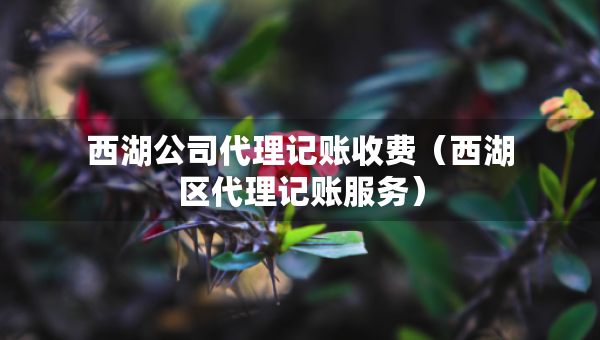 西湖公司代理记账收费（西湖区代理记账服务）