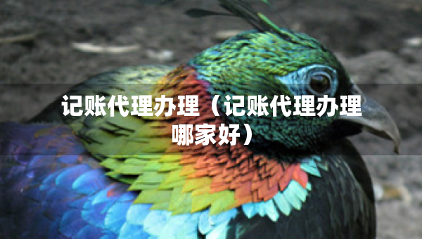 记账代理办理（记账代理办理哪家好）
