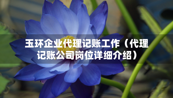 玉环企业代理记账工作（代理记账公司岗位详细介绍）