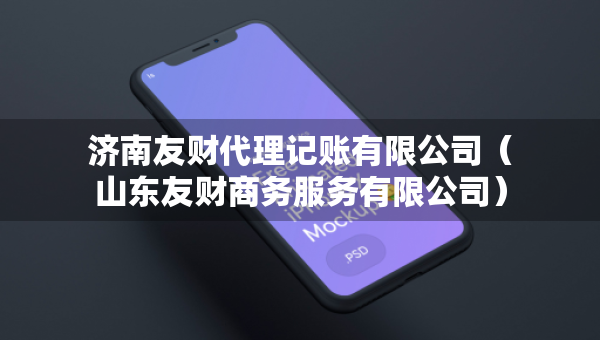 济南友财代理记账有限公司（山东友财商务服务有限公司）