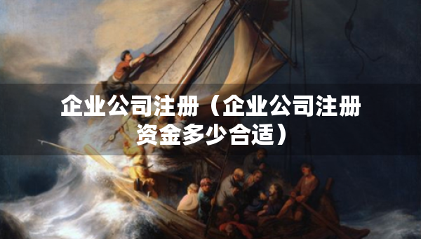 企业公司注册（企业公司注册资金多少合适）