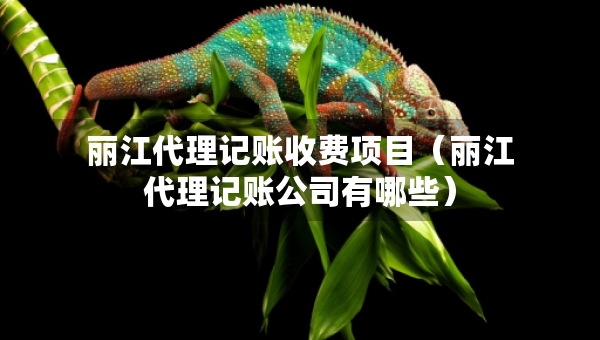 丽江代理记账收费项目(丽江代理记账公司有哪些) 丽江代理记账收费项目(丽江代理记账公司有哪些)